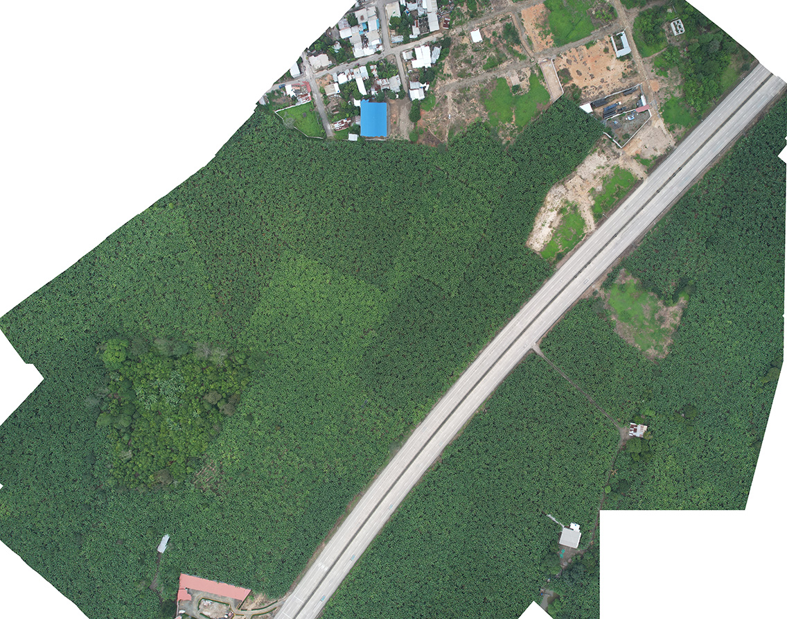 Equipo realizando levantamiento topográfico